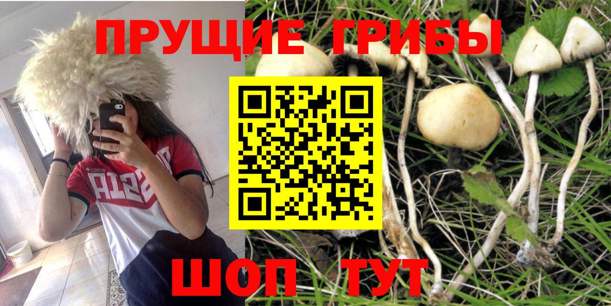 Архангельск  Псилоцибиновые грибы MAGIC MUSHROOMS  Вход с VPN 